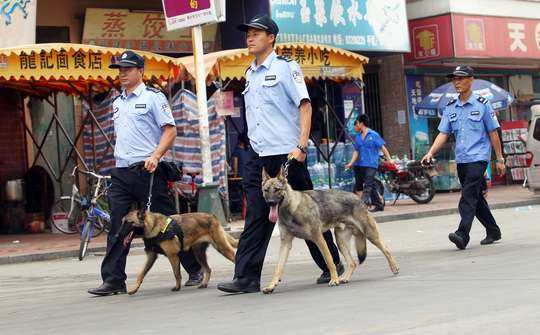 2014年5月1日，寮步公安分局干警在社区巡逻