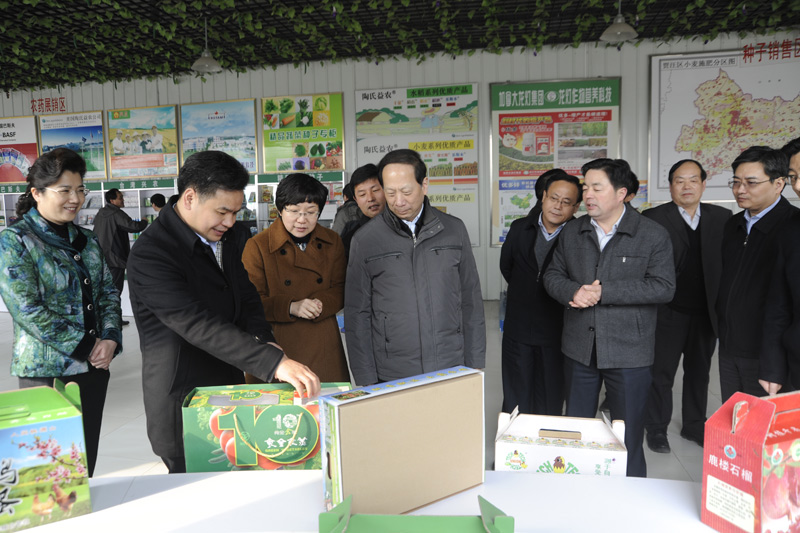 2014年2月19日，江苏省委副书记石泰峰来贾调研。图为石泰峰视察紫庄镇农业科技服务超市。